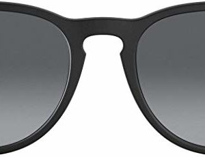 Ray-Ban RB4171 Erika Round Sunglasses